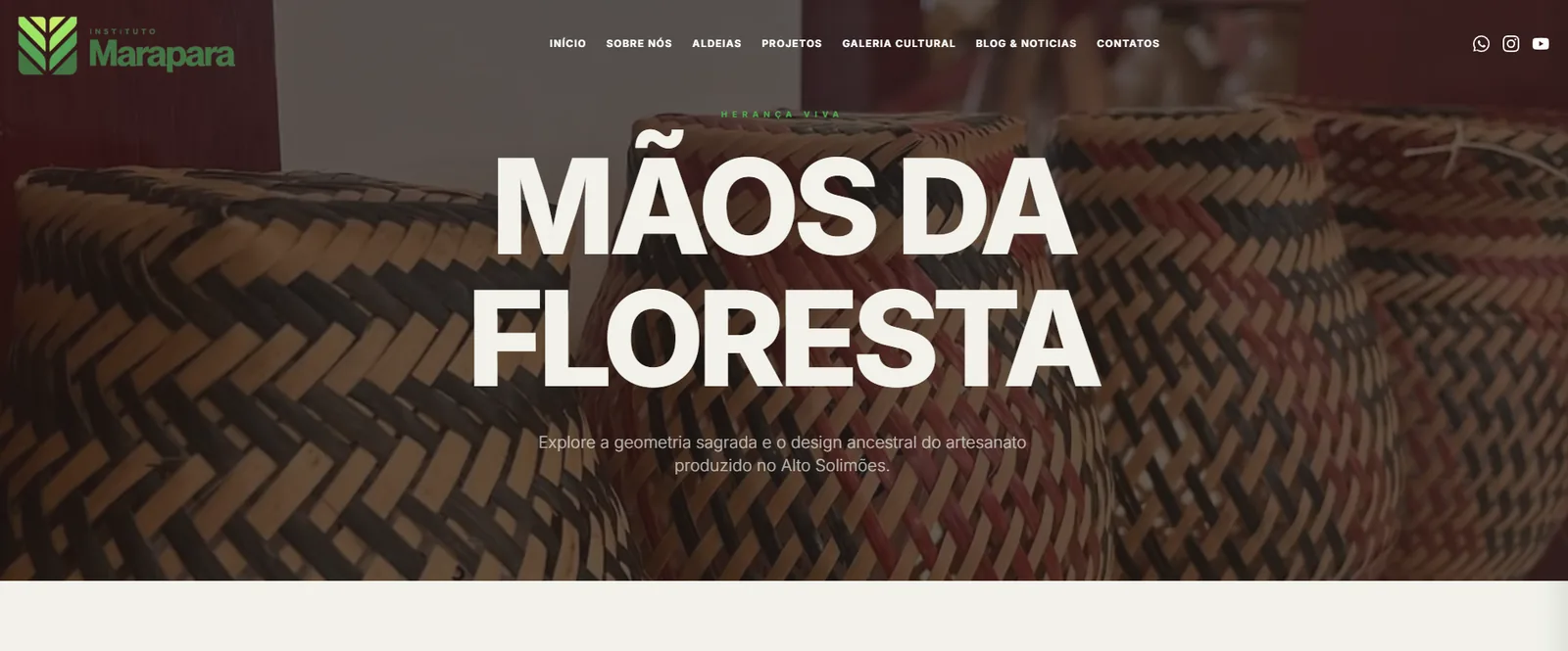 Preview do Projeto